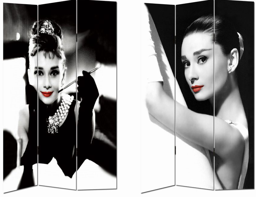 CANVAS/WOODEN SCREEN X 3 PANEL